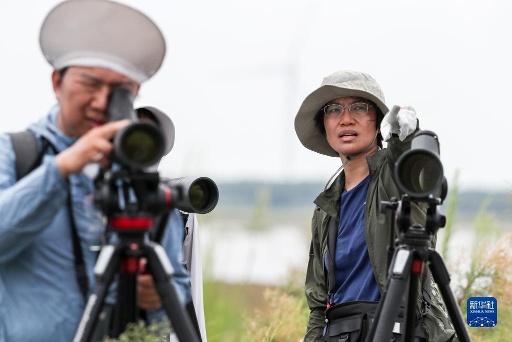 九州ju111net登录不了